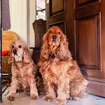 La Casa Di Nina